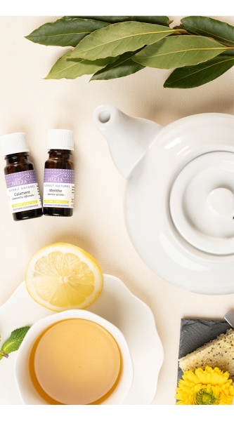 Tisane à la menthe marocaine 